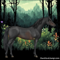 Horse Color:Brown Roan