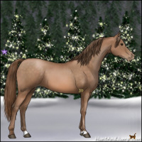 Horse Color:Brown Pearl 