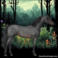 Horse Color:Brown Roan 