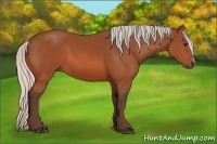 Horse Color:Silver Bay 