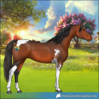 Horse Color:Bay Tobiano 