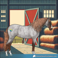Horse Color:Liver Red Roan 
