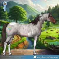 Horse Color:Liver Red Roan Tobiano 