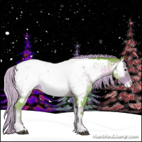 Horse Color:Watercolor Chocolate Palomino Roan Onyx Appaloosa 