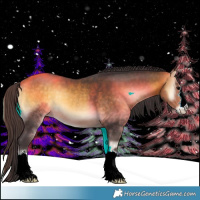 Horse Color:Buckskin Onyx 