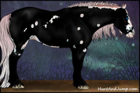 Horse Color:Watercolor Chocolate Palomino Roan Splash Appaloosa 