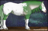 Horse Color:Watercolor Brown Onyx Splash Appaloosa 