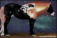 Horse Color:Watercolor Liver Red Onyx Splash Appaloosa 