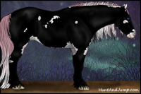 Horse Color:Watercolor Chestnut Splash Appaloosa 