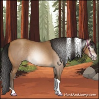 Horse Color:Gray Amber Champagne Roan Tobiano