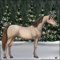 Horse Color:Brown Pearl Dun 