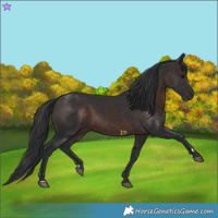 Horse Color:Brown 