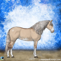 Horse Color:Silver Bay Dun Sabino Tobiano Frame Rabicano 