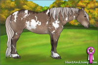 Horse Color:White Spotted Silver Brown Dun 