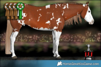 Horse Color:White Spotted Chestnut Splash 