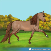 Horse Color:Red Dun 