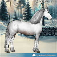 Horse Color:Gray White Spotted Bay 