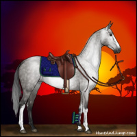 Horse Color:Gray White Spotted Grullo 