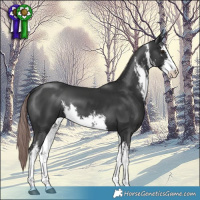 Horse Color:Platinum White Spotted Liver Chestnut 