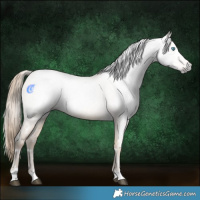 Horse Color:Gray White Spotted Buckskin Pearl Dun Mushroom 