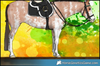 Horse Color:Bay Roan Sabino 