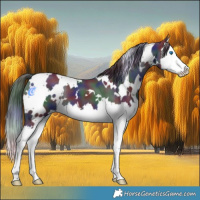 Horse Color:Nacre White Spotted Black Splash 