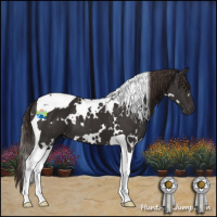 Horse Color:White Spotted Liver Chestnut Tobiano 