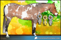 Horse Color:White Spotted Bay Roan Rabicano 