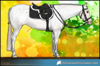 Horse Color:Bay Roan Appaloosa 