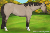 Horse Color:Liver Red Dun Rabicano 
