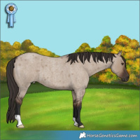 Horse Color:Liver Red Dun Roan 