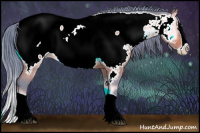 Horse Color:Watercolor Bay Onyx Splash Appaloosa