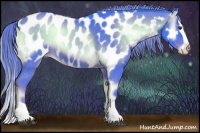 Horse Color:Watercolor Chocolate Palomino Onyx Splash Appaloosa