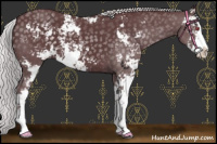 Horse Color:Chocolate Silver Black Chinchilla Sabino