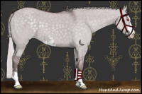 Horse Color:Chocolate Silver Grullo Chinchilla Sabino 