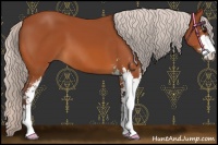 Horse Color:Chocolate Silver Bay Sabino 