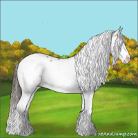 Horse Color:Liver Chestnut Sabino Leopard 