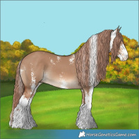 Horse Color:Red Dun Sabino 