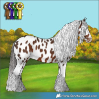 Horse Color:Liver Chestnut Sabino Near Leopard 