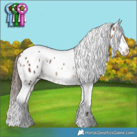 Horse Color:White Spotted Bay Dun Appaloosa Rabicano 
