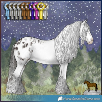 Horse Color:Liver Red Dun Sabino Blanket  and White Spotted Liver Chestnut Blanket Rabicano 