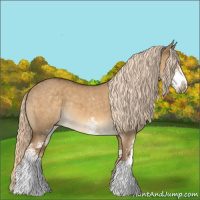 Horse Color:Chocolate Palomino Dun Sabino 