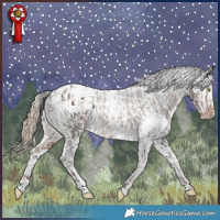 Horse Color:White Spotted Liver Chestnut Appaloosa  and Chocolate Palomino Dun Appaloosa 
