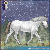 Horse Color:Red Dun Splash Appaloosa Rabicano  and Liver Red Dun Sabino Splash Appaloosa Rabicano 