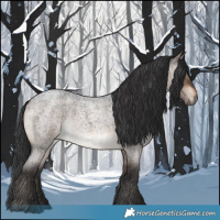 Horse Color:Brown Roan Dun Brindle 