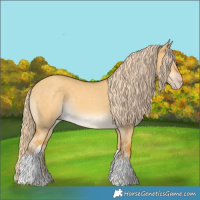 Horse Color:Gold Cream Champagne Dun Sabino Tobiano 