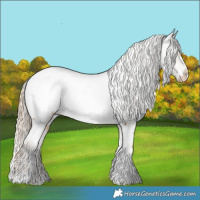 Horse Color:White Spotted Chocolate Palomino Dun Near Leopard  and Chocolate Palomino Tobiano Near Fewspot 