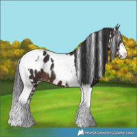 Horse Color:Brown Tobiano Blanket 