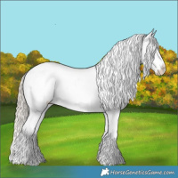 Horse Color:Chocolate Palomino Dun Snowflake Varnish 