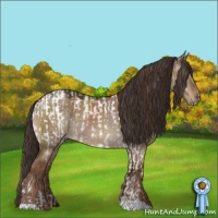 Horse Color:Liver Red Dun Roan Tobiano Appaloosa  and Liver Red Dun 